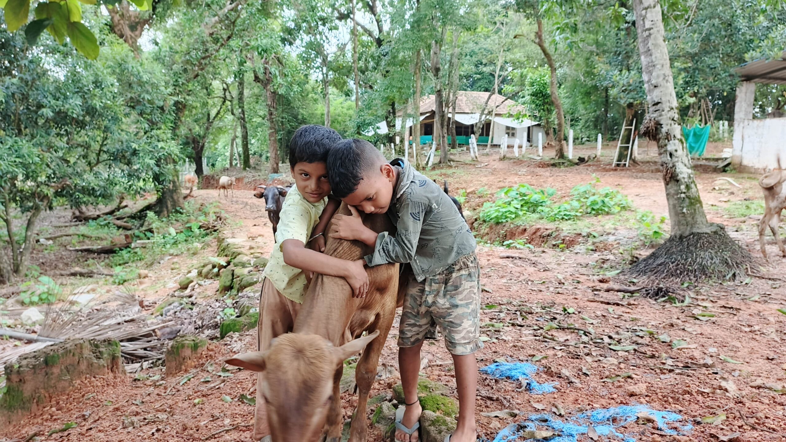 Village children hugging a calf