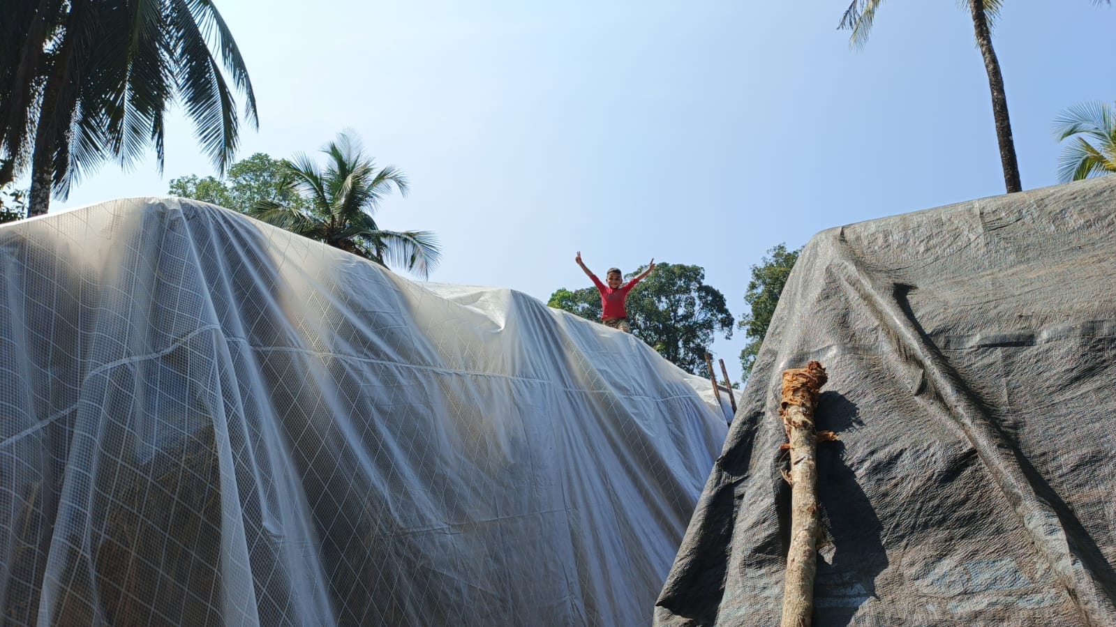 Goshala rooftop work