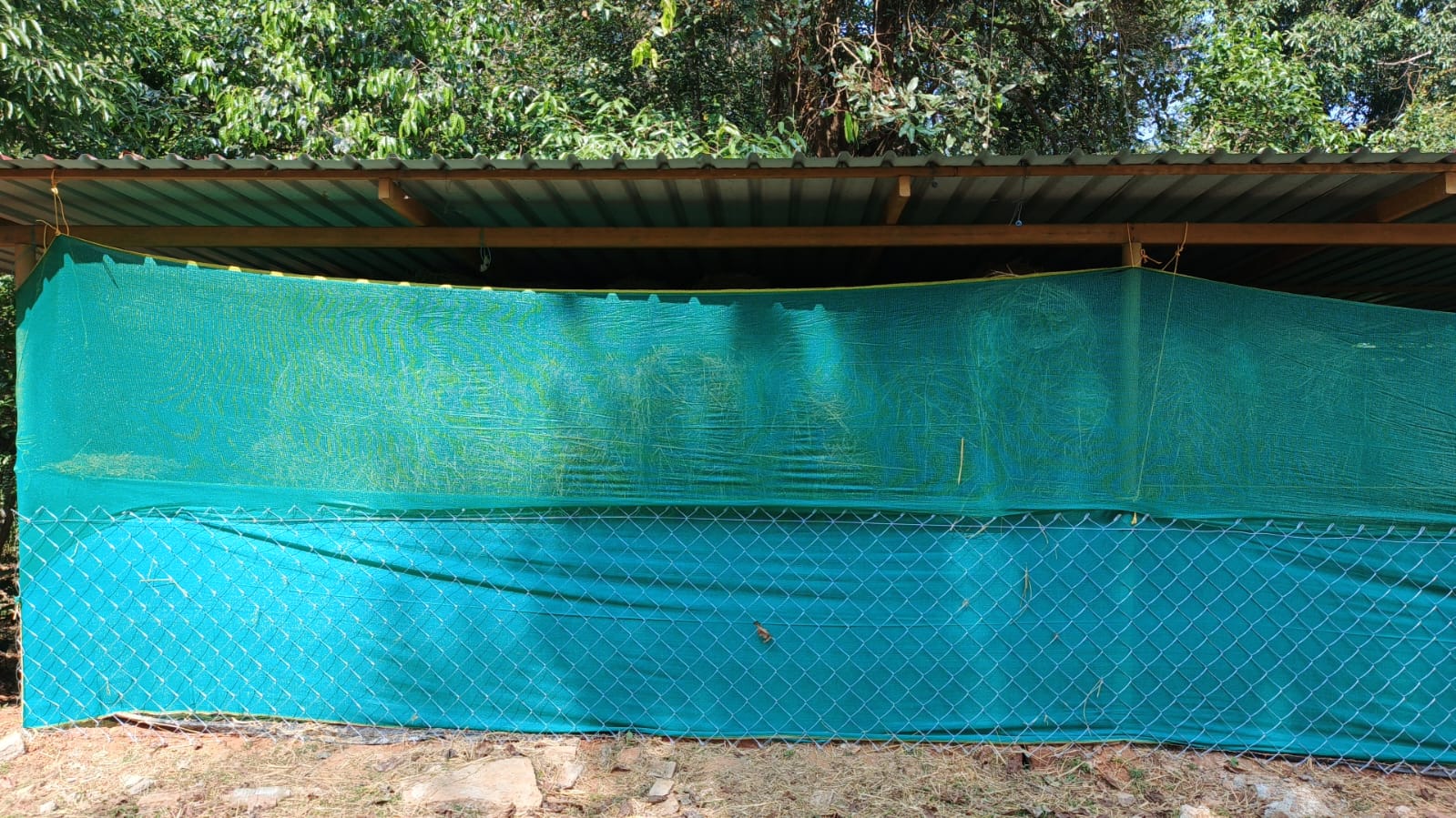 Goshala wall detail